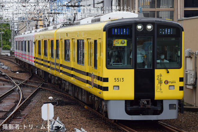 【阪神】阪神タイガース優勝記念 武庫川線車両「タイガース号」+「トラッキー号」4両編成で本線運行を尼崎駅で撮影した写真