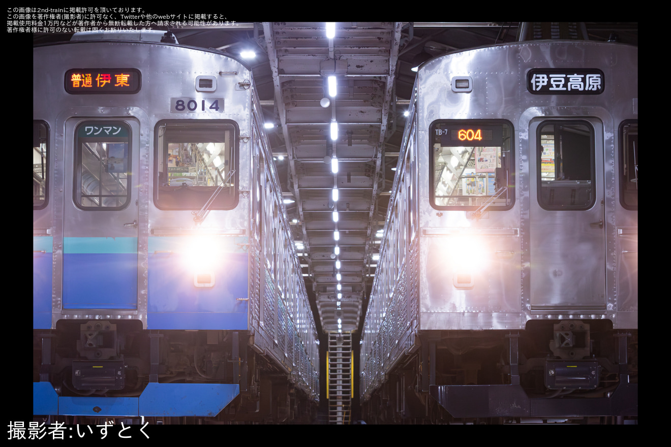 【伊豆急】8000系8007Fを使用した団体臨時列車が運転の拡大写真