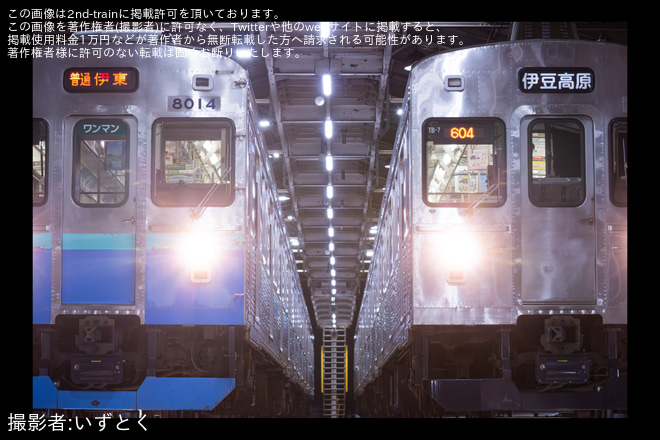 【伊豆急】8000系8007Fを使用した団体臨時列車が運転を不明で撮影した写真