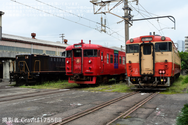 を鹿児島車両センターで撮影した写真