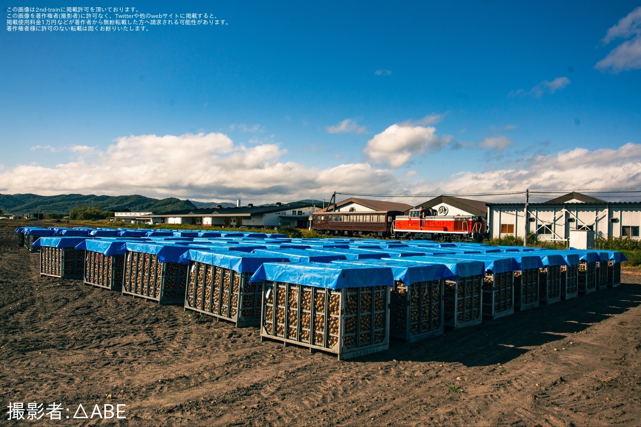 【JR北】富良野・美瑛ノロッコ号用のオハテフ510-2釧路運輸車両所入場回送の拡大写真
