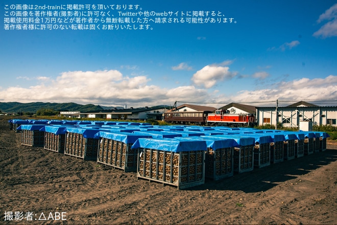 【JR北】富良野・美瑛ノロッコ号用のオハテフ510-2釧路運輸車両所入場回送を不明で撮影した写真