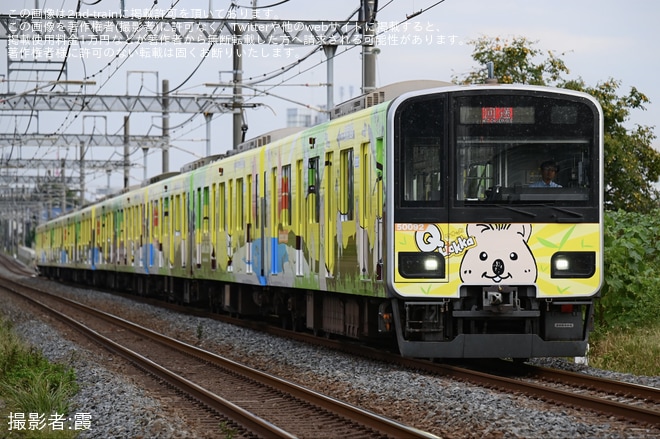 【東武】「ニコニコ笑顔やしあわせを呼ぶ黄色い電車『クオッカトレイン』」出場