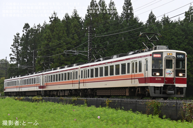 大谷向～大桑間で撮影された 【野岩】「6050型で行く会津高原への旅」ツアーを催行