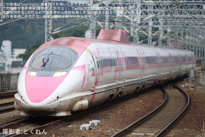 【JR西】「新幹線ふれあいデー」の開催に合わせ500系V2編成「ハローキティ新幹線」を使用した団体臨時列車が運転