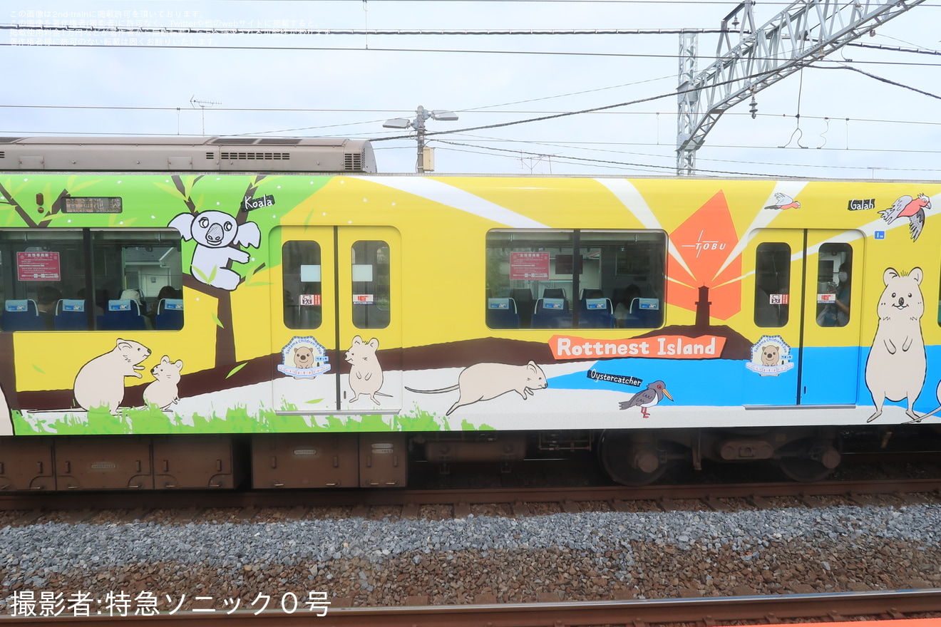 【東武】50090型51092Fが「クオッカトレイン」として運行開始の拡大写真