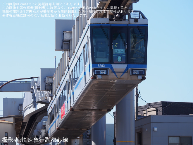 【湘モノ】5000形5603編成に「大船夜市2025」の特製ヘッドマークを掲出を大船～富士見町間で撮影した写真