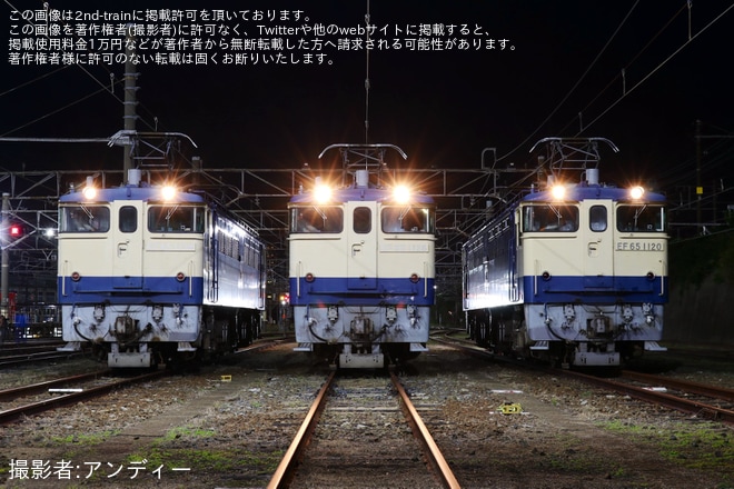 下関総合車両所下関支所で撮影された【JR西】事前申込制イベント「国鉄型機関車EF65夜間展示会 in 下関」開催