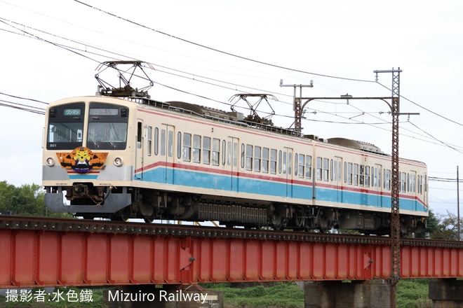 【近江】「ハッピーハロウィン電車」ヘッドマークが取り付け(2025)を不明で撮影した写真
