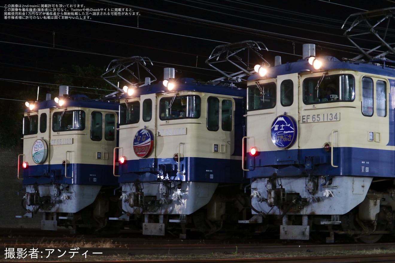 【JR西】事前申込制イベント「国鉄型機関車EF65夜間展示会 in 下関」開催の拡大写真