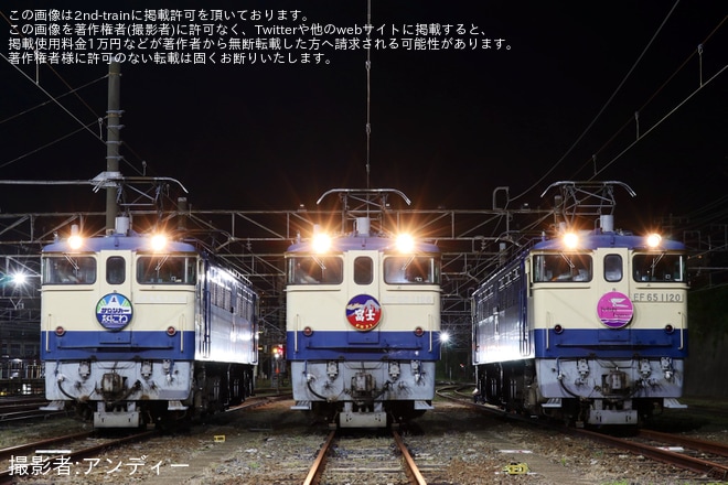 下関総合車両所下関支所で撮影された【JR西】事前申込制イベント「国鉄型機関車EF65夜間展示会 in 下関」開催