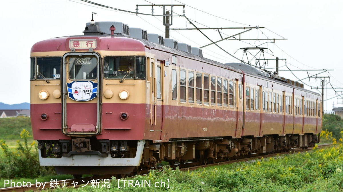 ☆ イマチャキテ　さま　専用　☆ アニマサーキット ヴィオ・ザ・ラビット【TB716594:4589642716594】