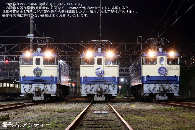 下関総合車両所下関支所で撮影された【JR西】事前申込制イベント「国鉄型機関車EF65夜間展示会 in 下関」開催