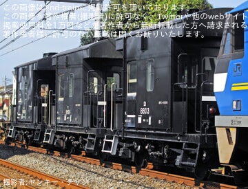 byヤンキー・チャン