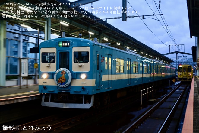 【JR九】103系 「唐津くんちヘッドマーク列車」運行開始(2025年)
