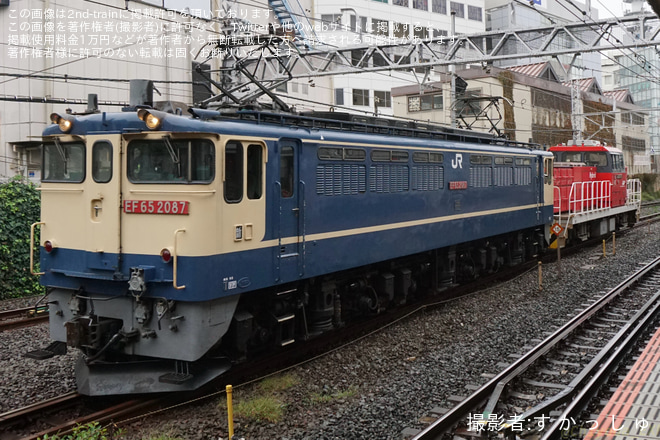 【JR貨】相模貨物常駐機交換(202510)を藤沢駅で撮影した写真