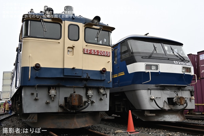 【JR貨】「隅田川駅貨物フェスティバル2025」開催を不明で撮影した写真