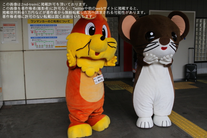 【JR東】臨時快速「越後湯沢駅100周年号」を運行を不明で撮影した写真