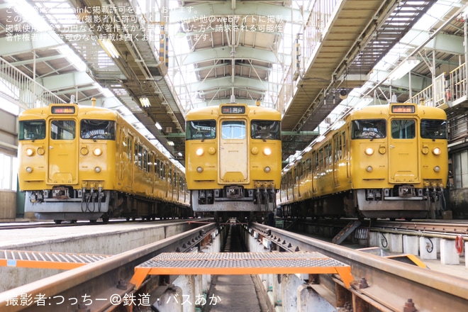 【JR西】「ありがとう113系直流近郊型電車(岡山地区)115系と最後の並び展示・見学会in岡山電車支所交検庫」が開催を下関総合車両所岡山電車支所で撮影した写真