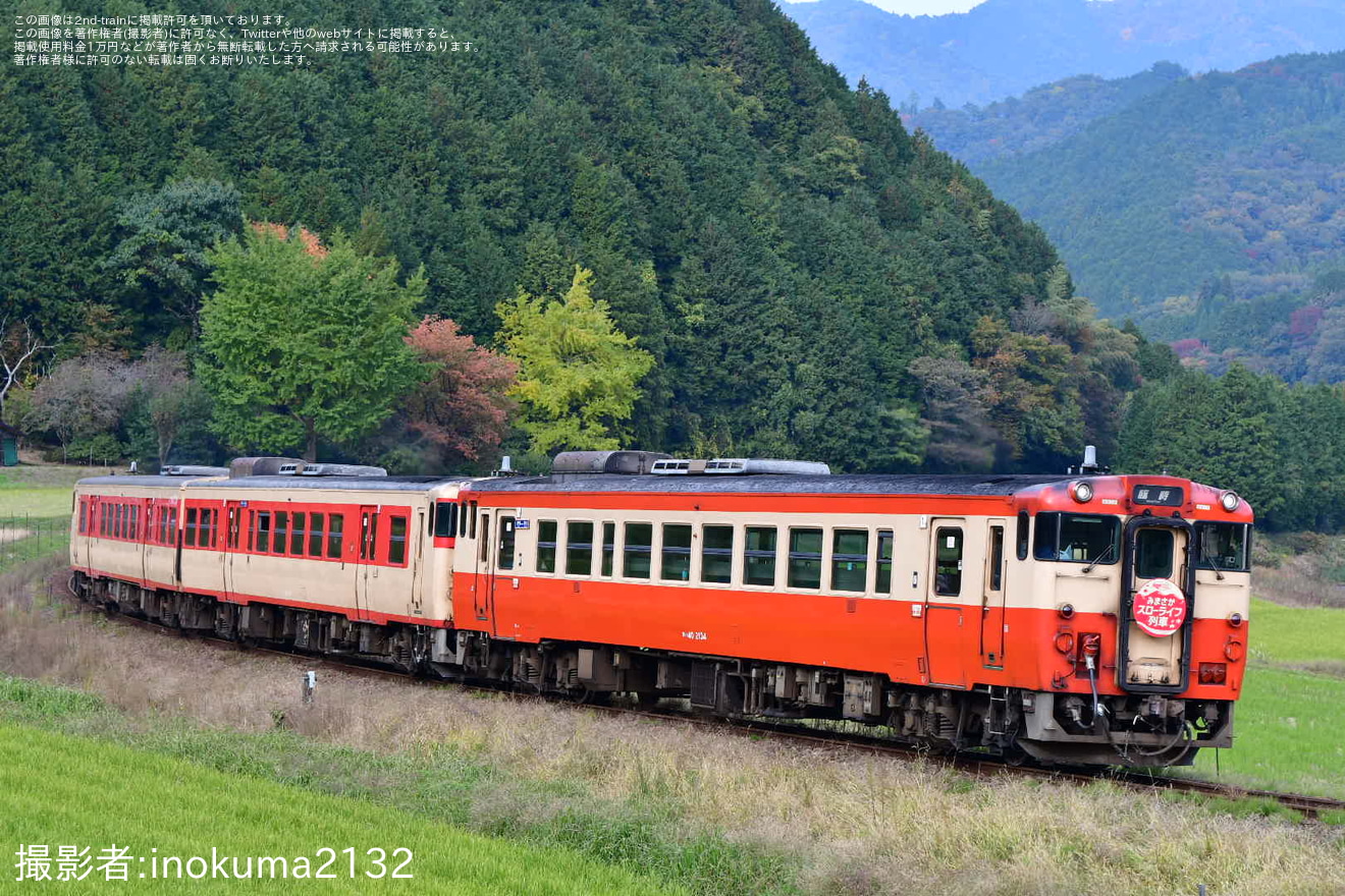 【JR西】秋の「みまさかスローライフ列車」臨時運行(2025年11月)の拡大写真