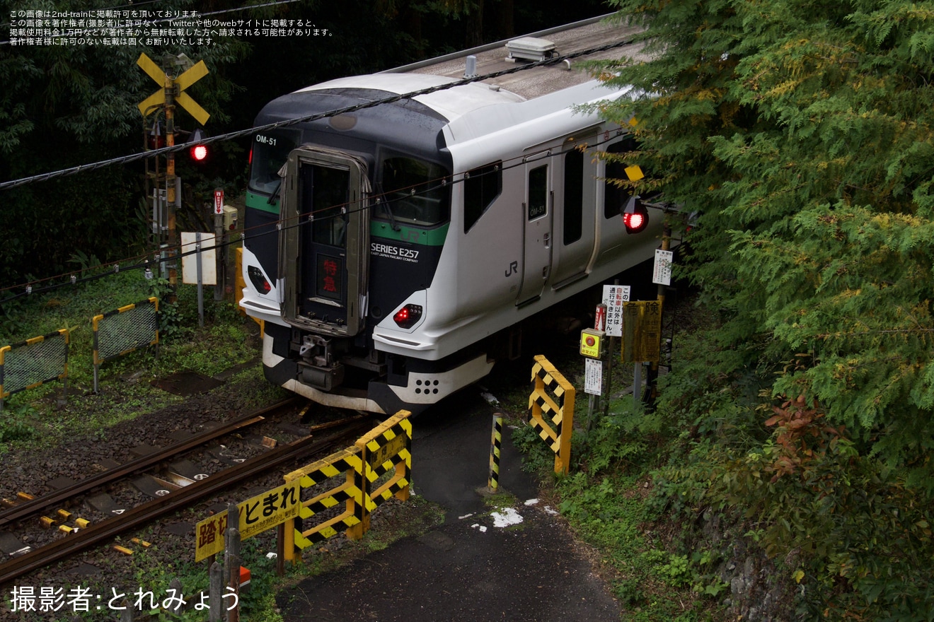 【JR東】臨時特急「新酒・もみじ回遊号」を運行(2025年)の拡大写真
