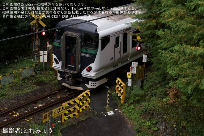 【JR東】臨時特急「新酒・もみじ回遊号」を運行(2025年)を不明で撮影した写真