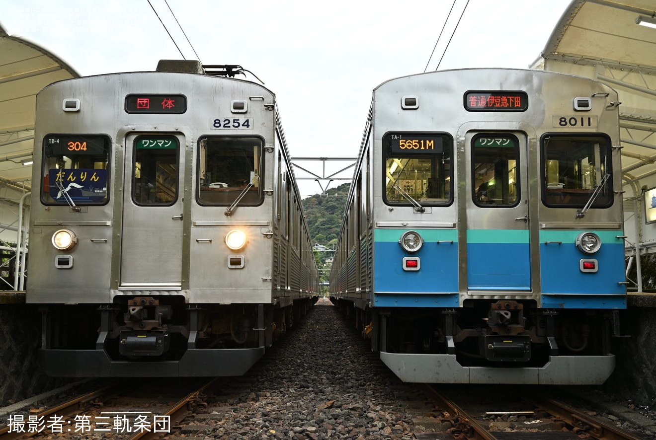 【伊豆急】8000系TB-4編成を使用した鉄道ファン有志の団臨の拡大写真