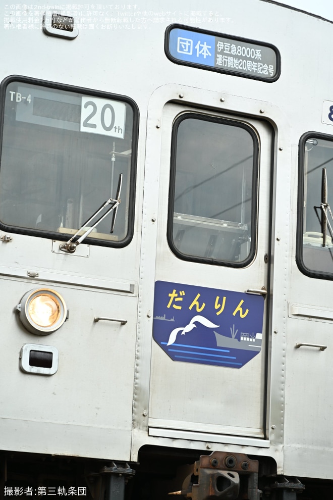 【伊豆急】8000系TB-4編成を使用した鉄道ファン有志の団臨