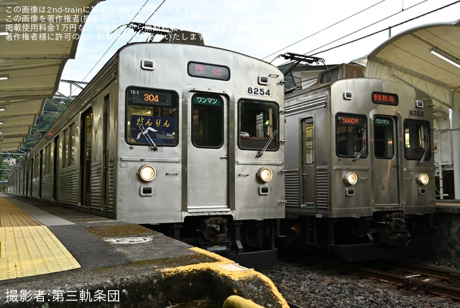 【伊豆急】8000系TB-4編成を使用した鉄道ファン有志の団臨