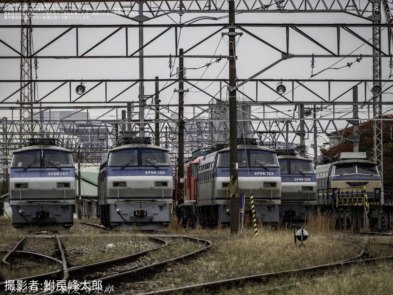 【JR貨】EF66-27が吹田機関区構内で自走して入換(20251113)の拡大写真