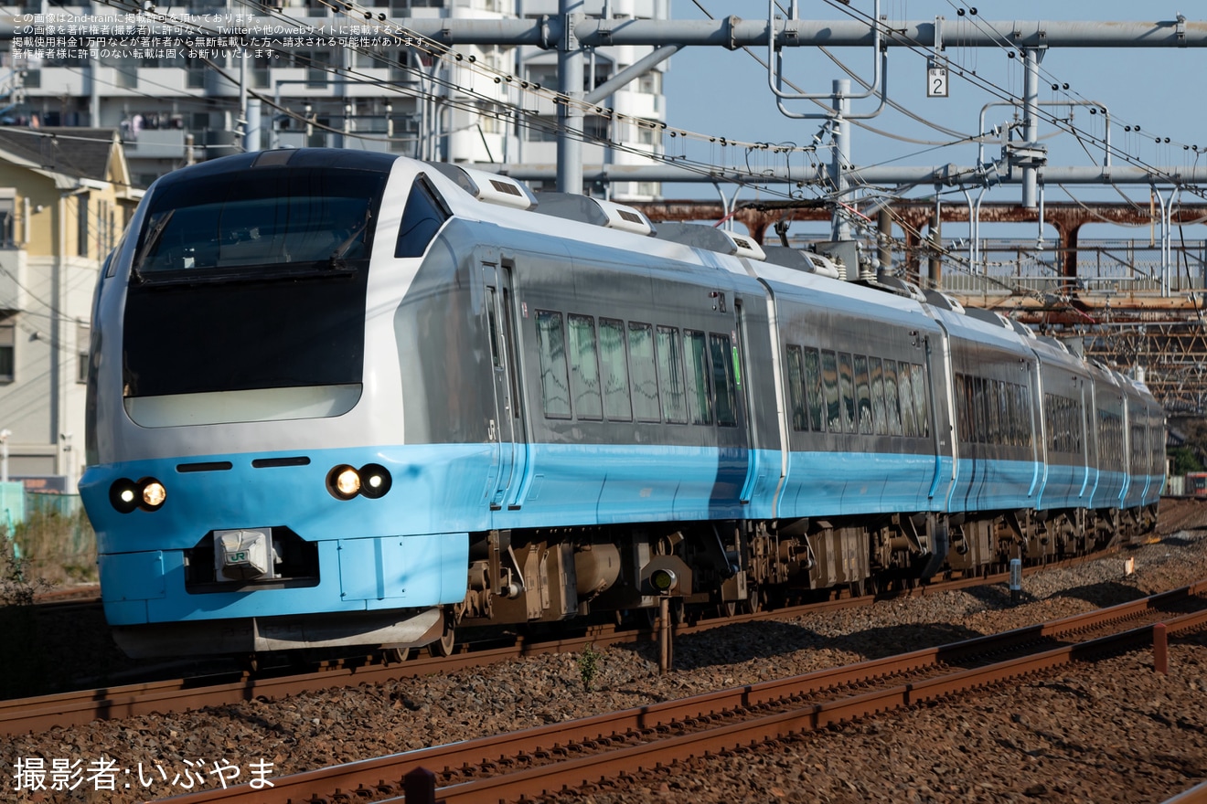 【JR東】臨時特急「常磐鎌倉号」を運行(2025年11月)の拡大写真