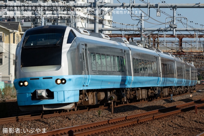 【JR東】臨時特急「常磐鎌倉号」を運行(2025年11月)