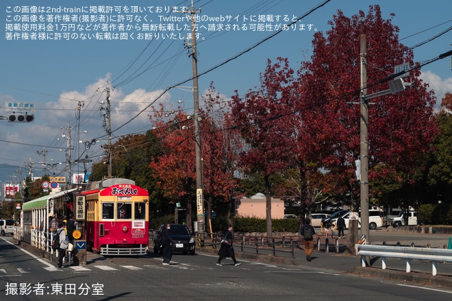 【豊鉄】モ3200形3203号おでんしゃ2025年シーズンの運行中