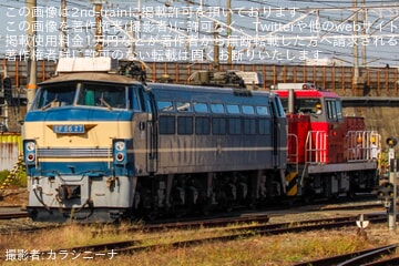 JR貨】2059レ(カンガルーライナーSS60)を岡山機関区所属のEF210-901が