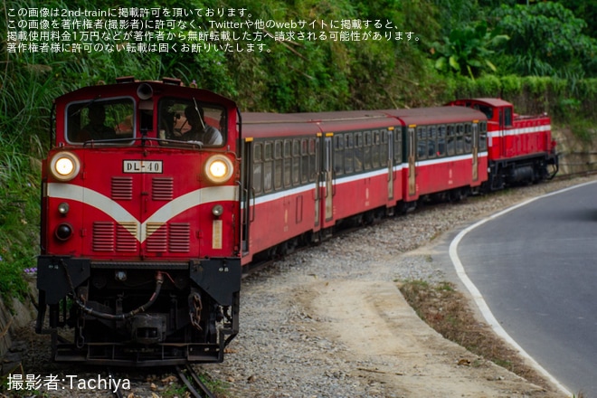 【阿里山】DL31が廃車のため阿里山から北門へ回送を不明で撮影した写真