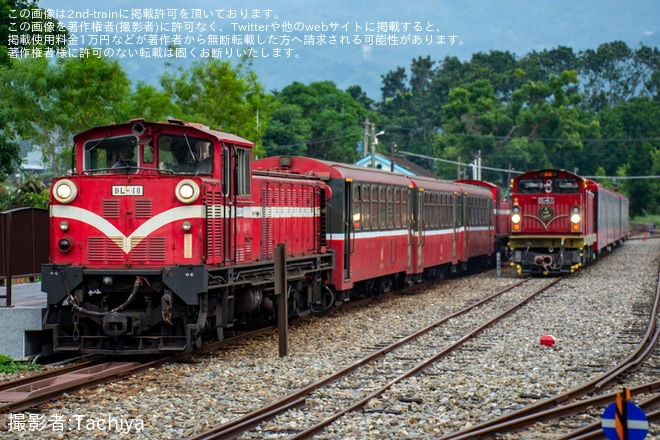 【阿里山】DL31が廃車のため阿里山から北門へ回送を不明で撮影した写真