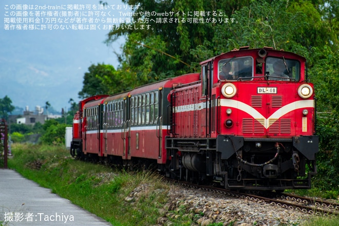 【阿里山】DL31が廃車のため阿里山から北門へ回送を不明で撮影した写真