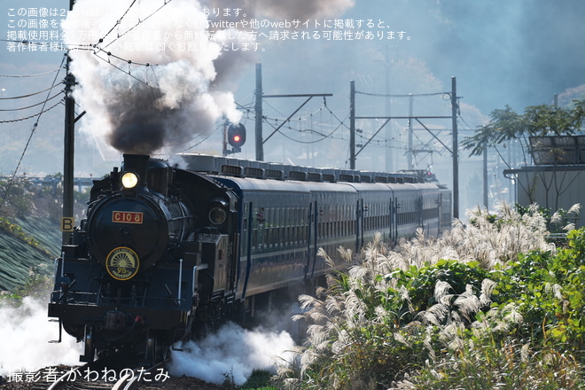 【大鐵】C10-8が運転再開、12系も牽引（1枚目）