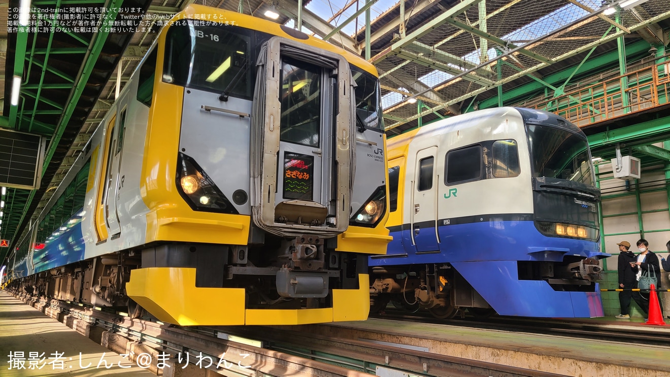 【JR東】「マリフェス 2025」開催の拡大写真