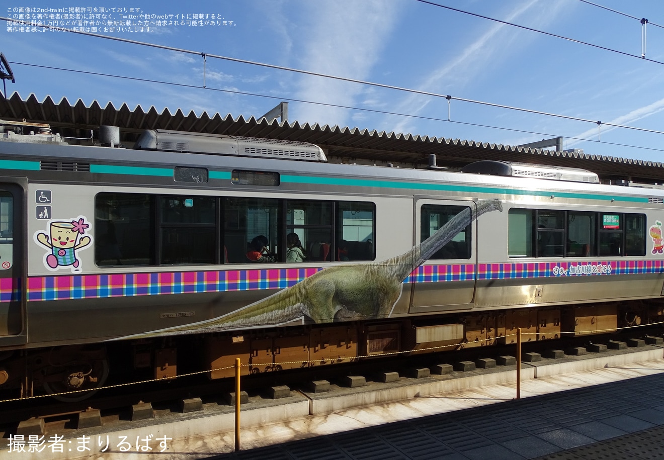 【JR西】「加古川線ラッピング列車」運行開始の拡大写真