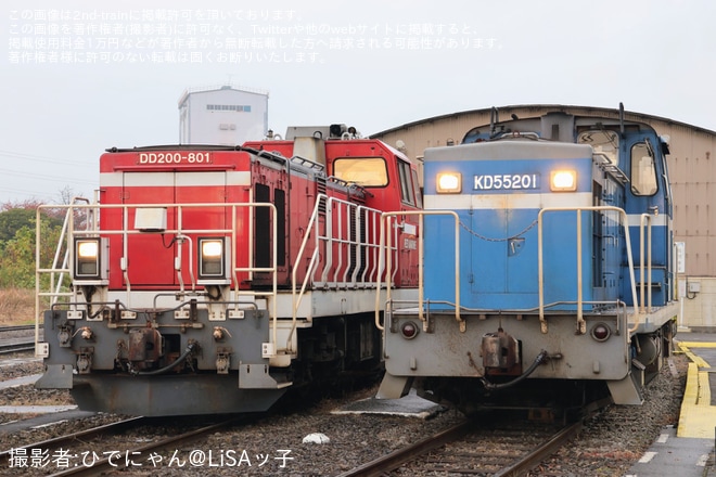 【京葉臨海】国鉄色に復元されたKD55-103が展示「庫マニア2025秋」開催を千葉貨物駅で撮影した写真