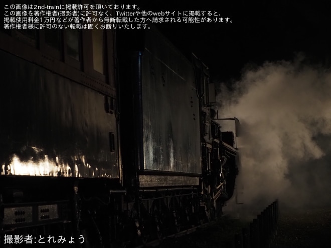 【小金井市】「秋のSLライトアップと客車公開」にてC57-186がライトアップを小金井公園SL展示場で撮影した写真