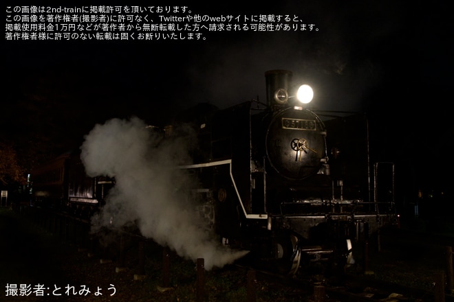【小金井市】「秋のSLライトアップと客車公開」にてC57-186がライトアップを小金井公園SL展示場で撮影した写真