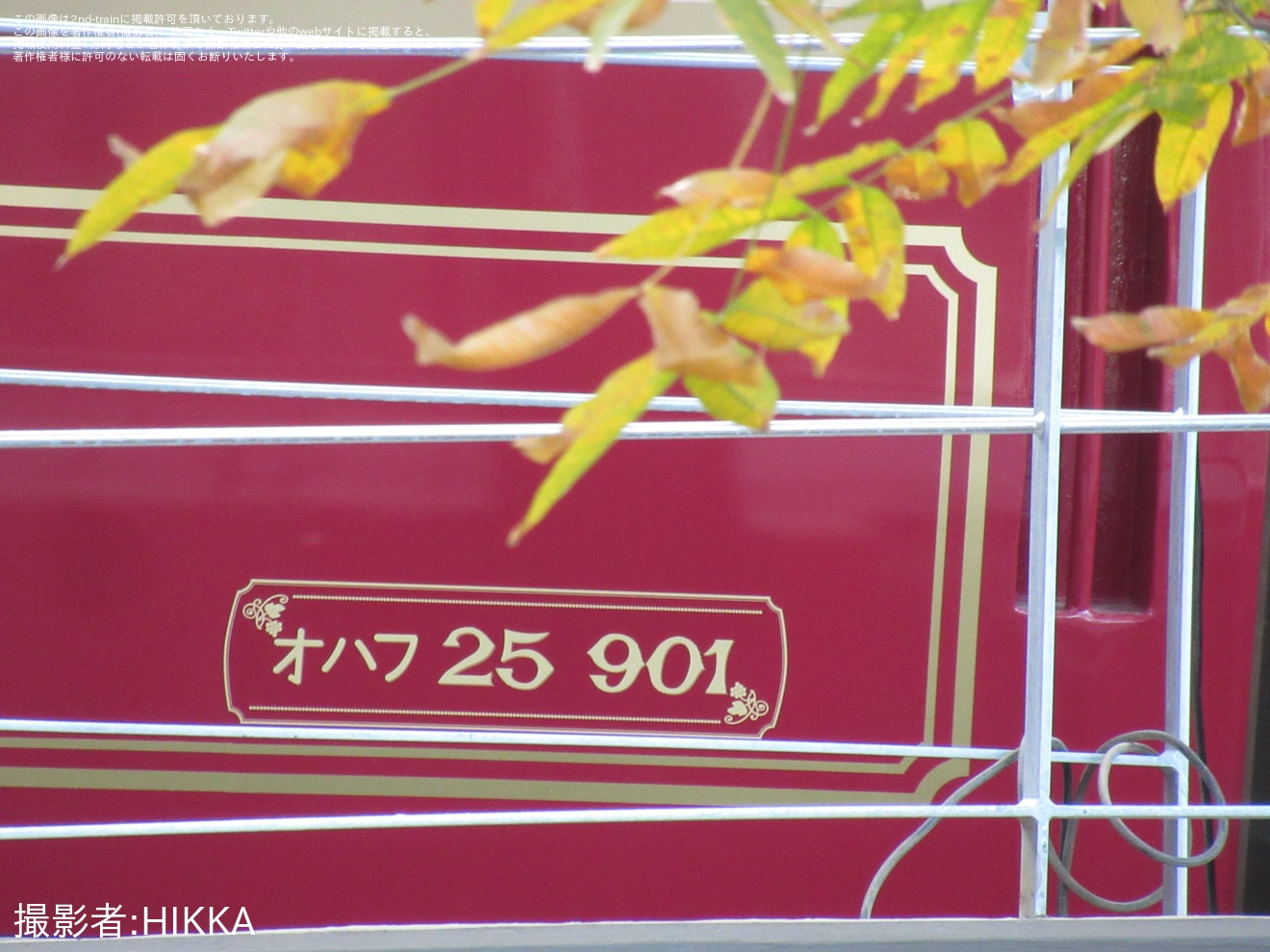 【JR東】清瀬中央公園で修復中の夢空間(オシ25 901・オハフ25 901) が目撃の拡大写真