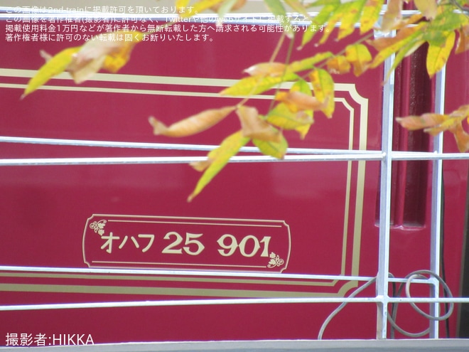 【JR東】清瀬中央公園で修復中の夢空間(オシ25 901・オハフ25 901) が目撃を清瀬中央公園で撮影した写真