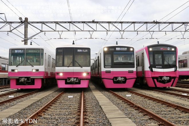 くぬぎ山車庫で撮影された【京成】「ジェントルピンク4車種撮影会 in くぬぎ山車庫」ツアーが催行