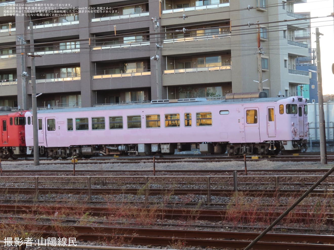 【JR西】キハ40-2049の「SAKU美SAKU楽」のラッピングが全て剥がされていることが確認の拡大写真