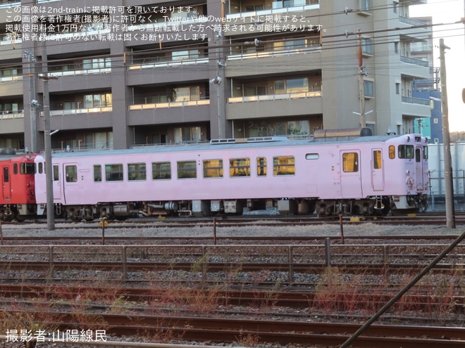 【JR西】キハ40-2049の「SAKU美SAKU楽」のラッピングが全て剥がされていることが確認