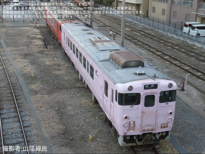 【JR西】キハ40-2049の「SAKU美SAKU楽」のラッピングが全て剥がされていることが確認