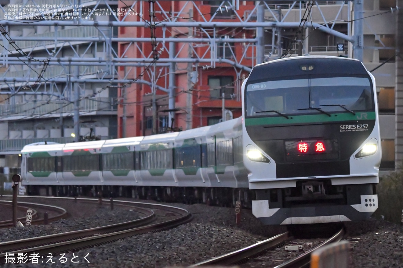 【JR東】臨時特急「湘南国際マラソン号」を運行の拡大写真